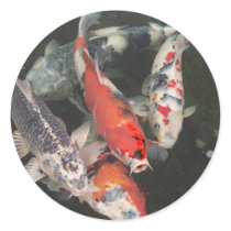 Koi stickers