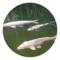 Koi stickers