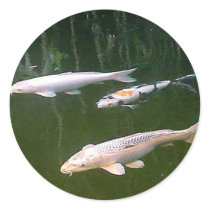 Koi stickers