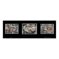 Koi Triptych posters