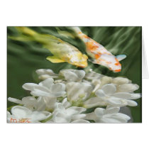"Koi with White Flowers" cards by hyperkenzie "Koi with White Flowers" cards