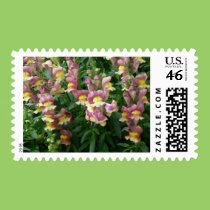 Kolorful Kaleidoscope stamps