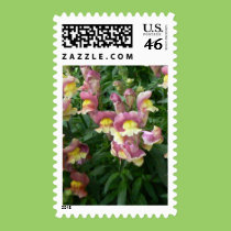 Kolorful Kaleidoscope stamps