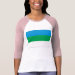 Ladies 3/4 Sleeve Raglan (Fitted)