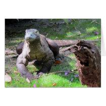Komodo Dragon (0606) - Greeting Card cards