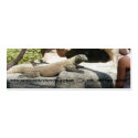 Komodo Dragon Bookmark business cards by SherryHolderHunt Komodo Dragon Bookmark business cards