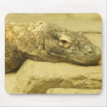 Komodo Dragon - Monitoring Your Work Mouse Pads Komodo Dragon - Monitoring Your Work Mouse Pads