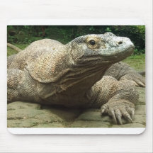 Komodo dragon mouse pad