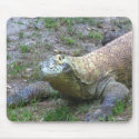 Komodo Dragon mousepads