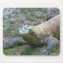 Komodo Dragon mousepads