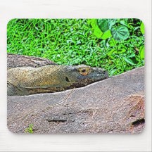 Komodo Dragon Painting Mouse Pad