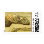 Komodo Dragon Postage Komodo Dragon Postage