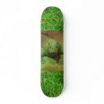 Komodo Dragon Skate Deck