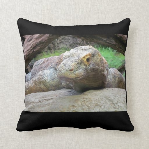 pillowfort dragon throw pillow