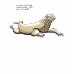 komodo dragon trivia