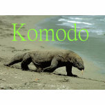 Komodo Dragon