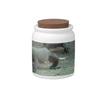 Komodo Dragons Jar Candy Dish