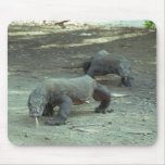 Komodo Dragons Mouse Pad Komodo Dragons Mouse Pad