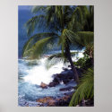 Kona coast 1 posters