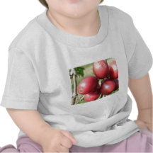 Kona Coffee Cherries - different view T Shirt