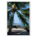 Kona Palm cards