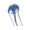 Kona Pelagic Magic Diver Jellyfish t-shirts by KaraOsada Kona Pelagic Magic Diver Jellyfish t-shirts