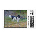 Kono postage
