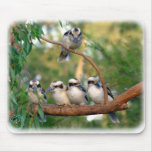 Kookaburra 9Y172D-004 Mouse Mats
