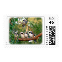 Kookaburra 9Y172D-004 Stamp
