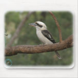 Kookaburra 9Y180D-182 Mouse Pads
