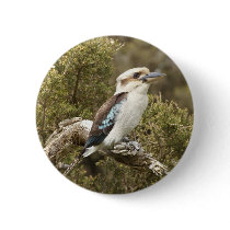 Kookaburra Button