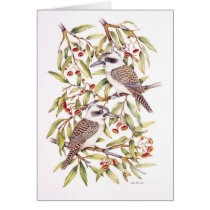 Kookaburra cards