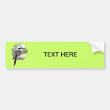 Kookaburra in Circle Bumper Sticker