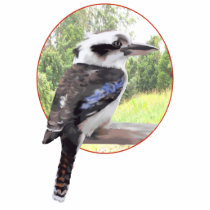 Kookaburra in Circle Photo Cutout