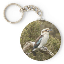 Kookaburra Key Chains