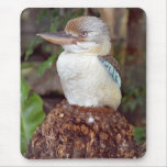 Kookaburra Looking Right Mousepad