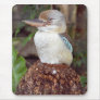 Kookaburra Looking Right Mousepad
