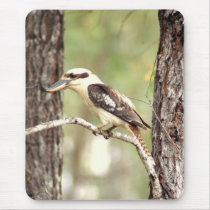 kookaburra mousepads