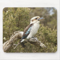 Kookaburra Mouse Mats
