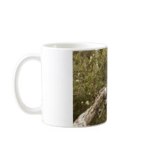 Kookaburra Mug