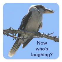 Kookaburra.png Square Stickers
