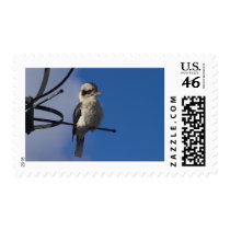 Kookaburra Postage Stamps