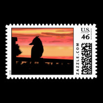 kookaburra shadow stamps