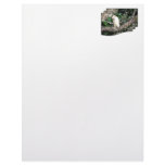 Kookaburra Sitting On A Tree Branch Customized Letterhead