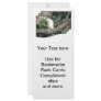 Kookaburra Sitting On A Tree Branch Rack Cards