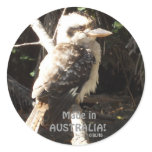 Kookaburra Sticker