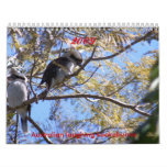 Kookaburras - Customized Calendar