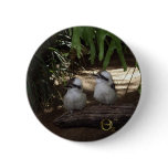 Kookaburras Laughing Pin