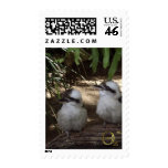 Kookaburras Laughing Postage Stamp