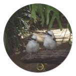 Kookaburras Laughing Stickers